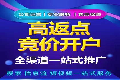 专业百度竞价代运营，助力企业高效获客